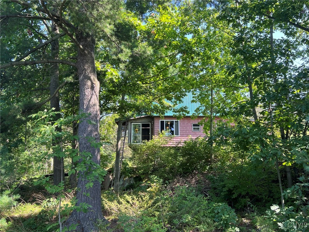 263 Mitchell Road Macomb, NY 13654 - Photo 43 of 48 View from the lake