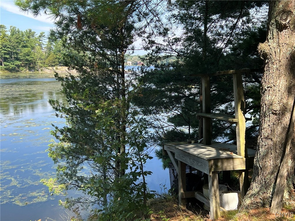 263 Mitchell Road Macomb, NY 13654 - Photo 45 of 48 Fish cleaning station