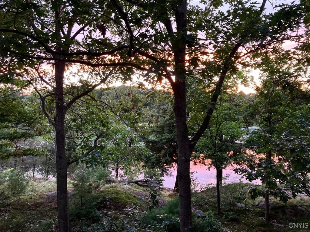 263 Mitchell Road Macomb, NY 13654 - Photo 46 of 48 View from cottage