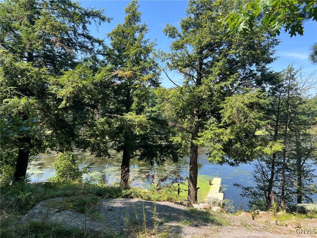 263 Mitchell Road Macomb, NY 13654 - Photo 7 of 48 View of Black Lake