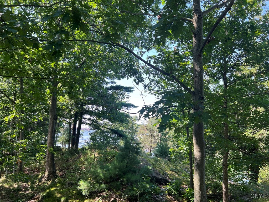 263 Mitchell Road Macomb, NY 13654 - Photo 8 of 48 View of Black Lake