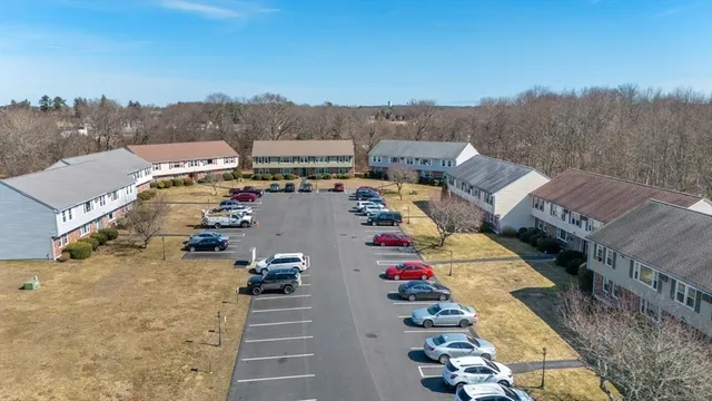 a bath tub with a plant