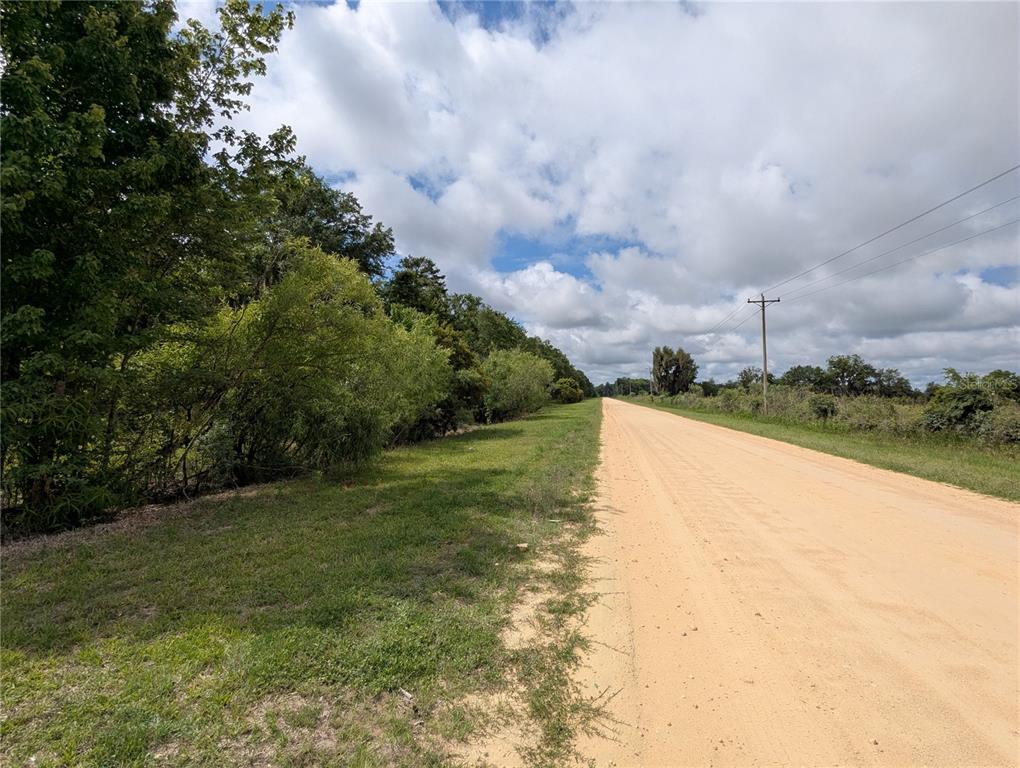 91st Street Alachua, FL 32615 - Photo 31 of 36 a view of a yard with an trees