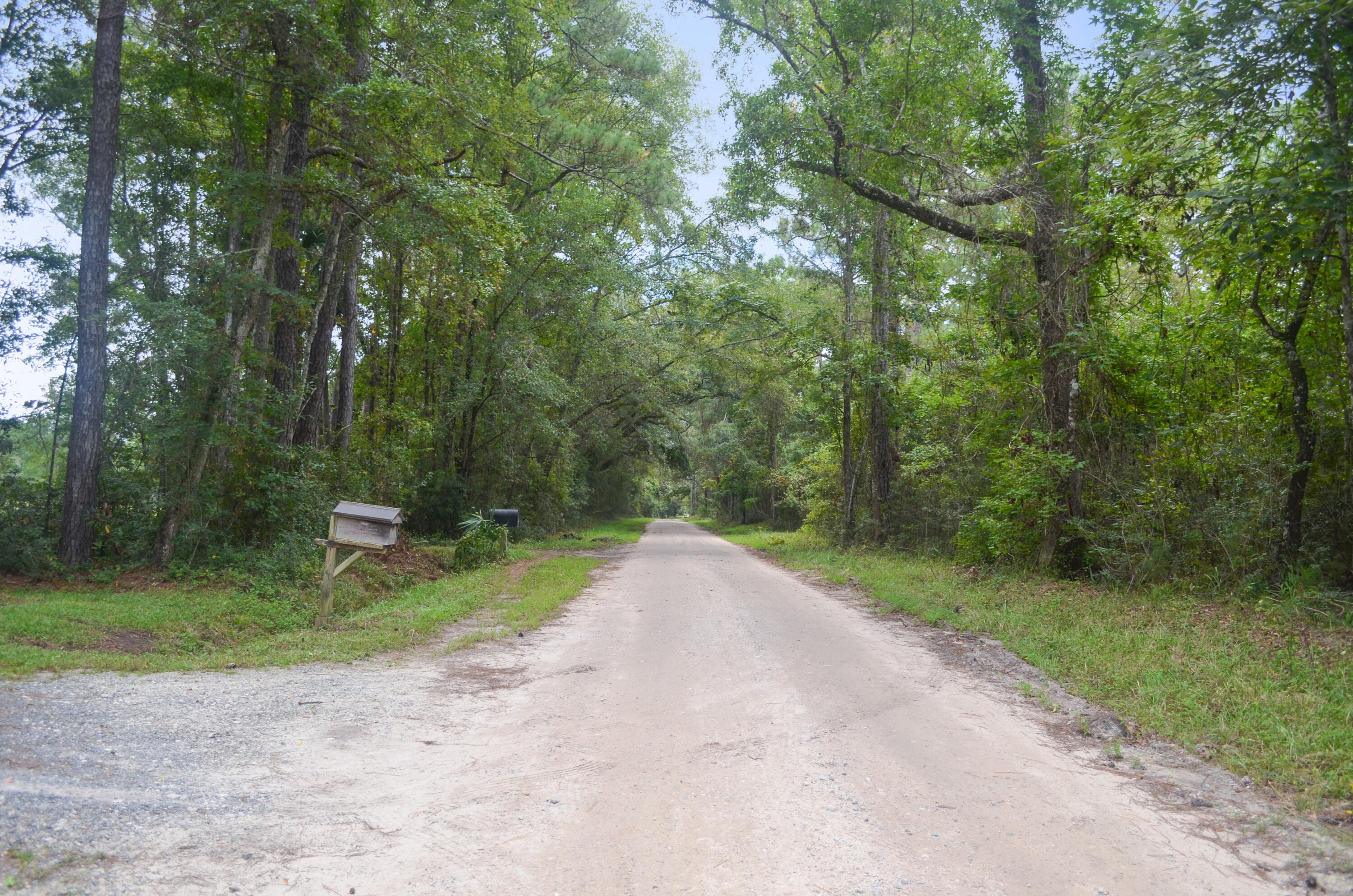 1622 Palmers Bridge Road McClellanville, SC 29458 - Photo 42 of 59 DSC_4881