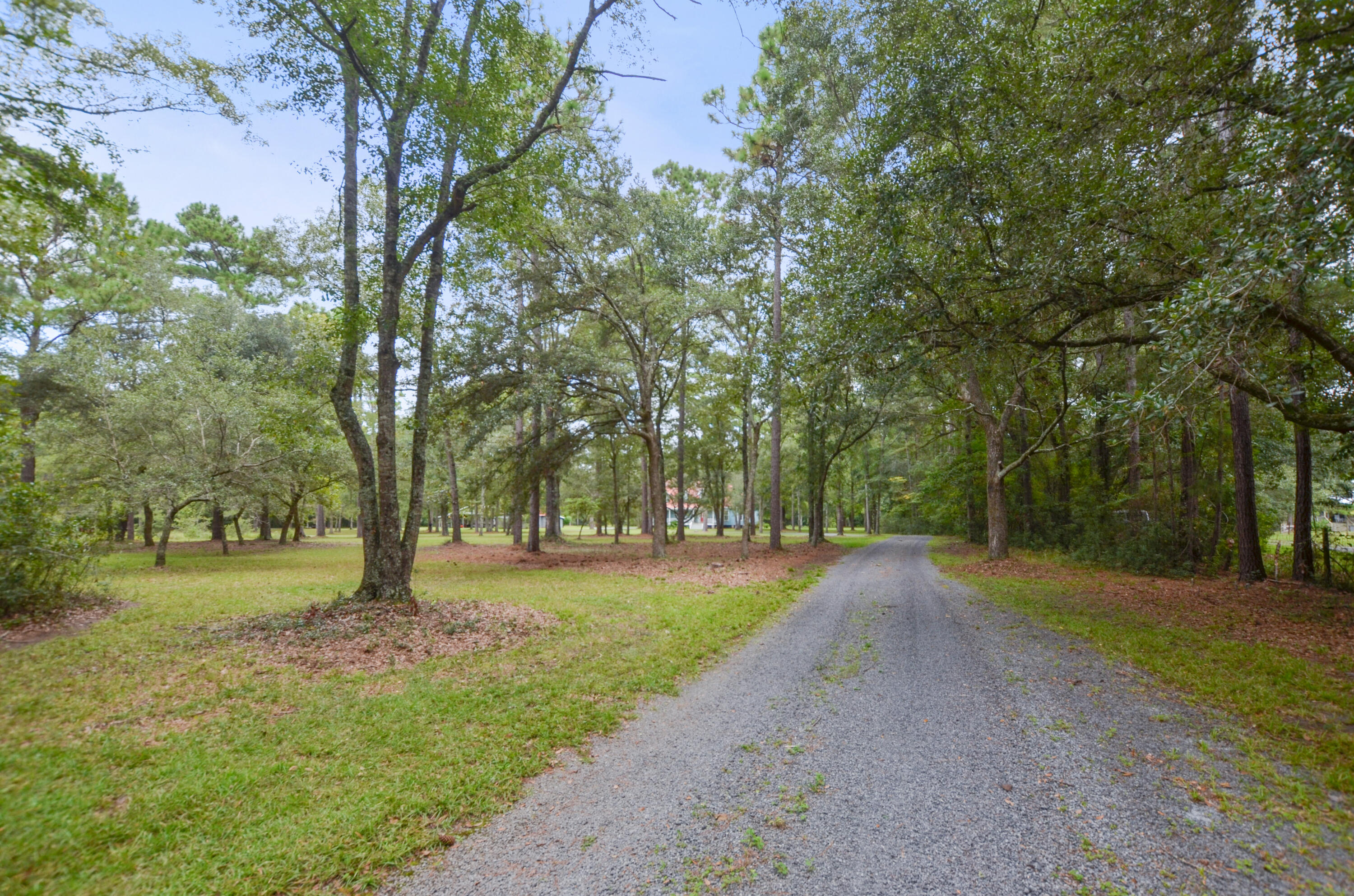1622 Palmers Bridge Road McClellanville, SC 29458 - Photo 43 of 59 DSC_4874