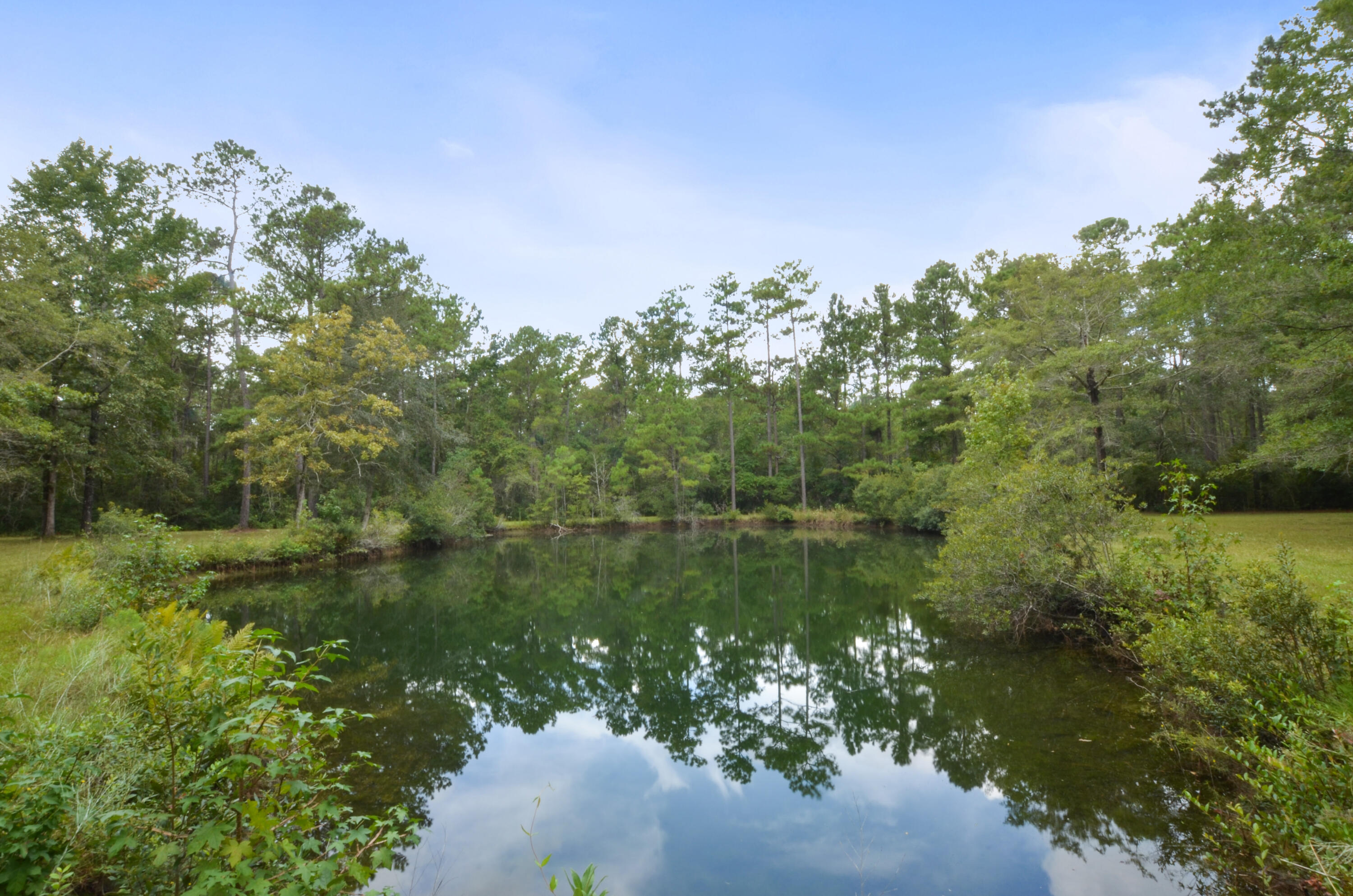 1622 Palmers Bridge Road McClellanville, SC 29458 - Photo 44 of 59 DSC_4871