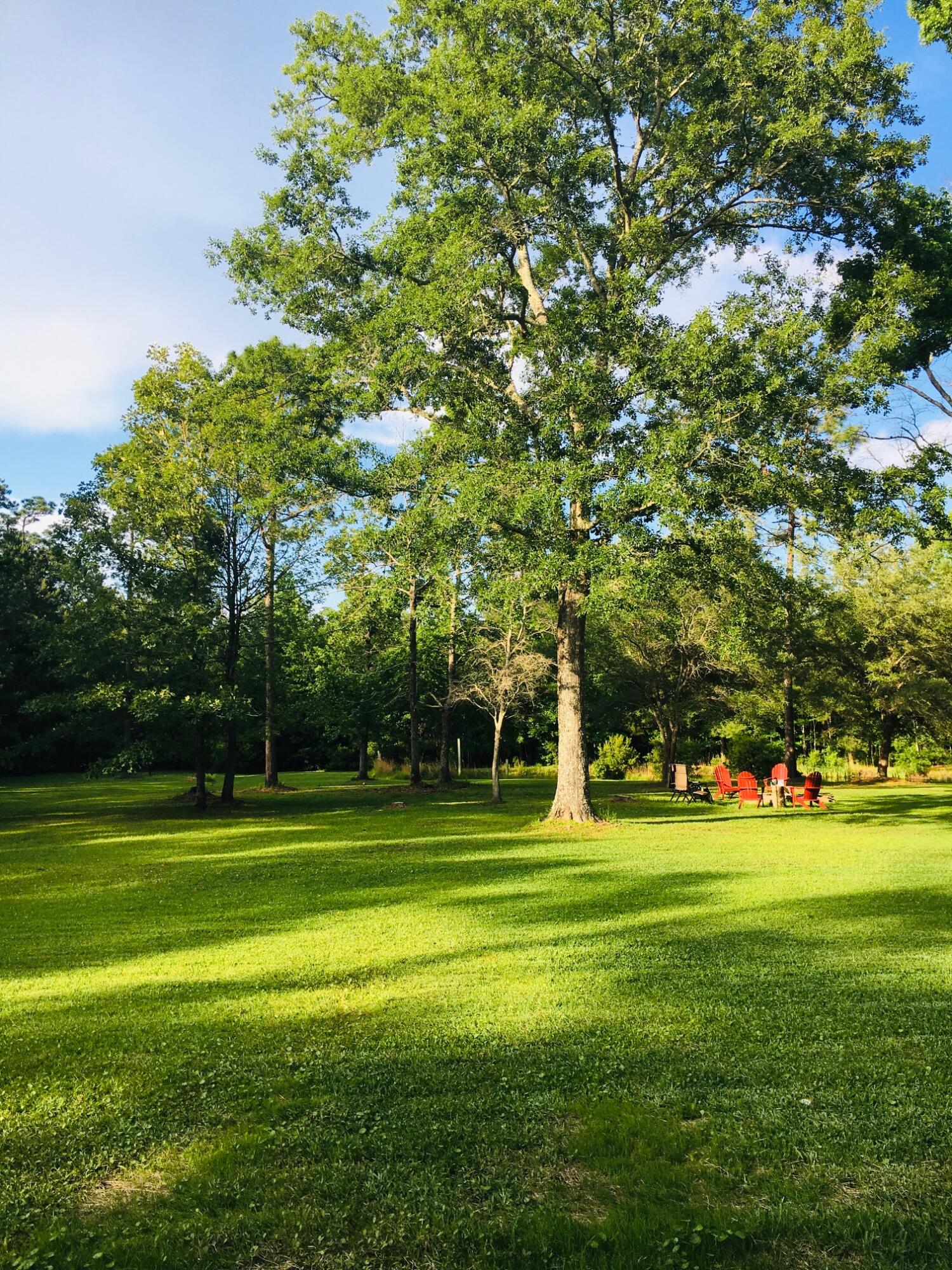 1622 Palmers Bridge Road McClellanville, SC 29458 - Photo 51 of 59 Landscape 2