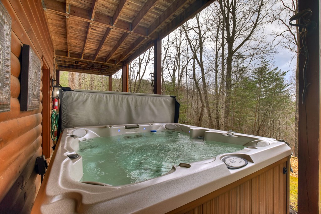 54 Channing Ridge Road Morganton, GA 30560 - Photo 4 of 54