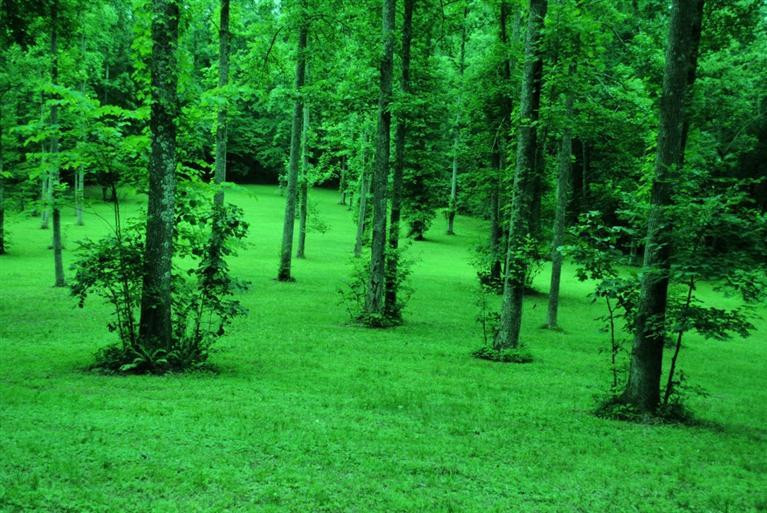 376 Ike Monhollen Road Corbin, KY 40701 - Photo 33 of 41 Photo 33