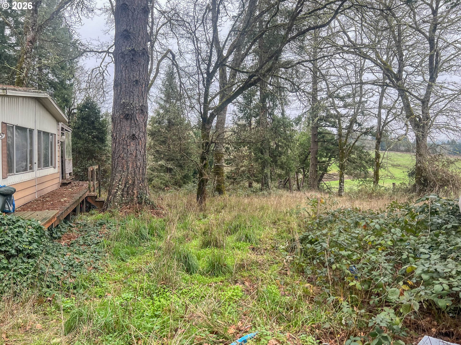 1698 Doerner Road Roseburg, OR 97471 - Photo 14 of 18 a view of backyard with green space