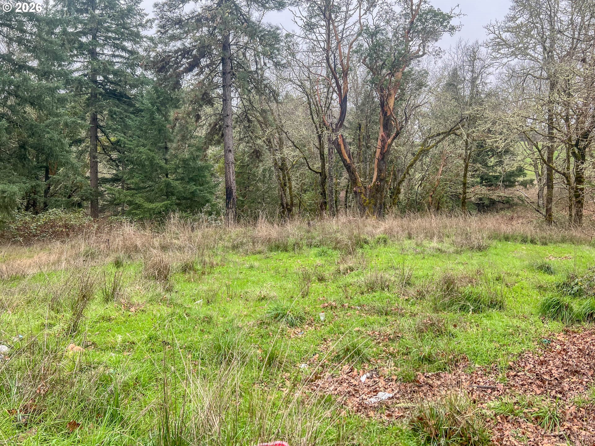 1698 Doerner Road Roseburg, OR 97471 - Photo 2 of 18 a view of outdoor space with deck and yard