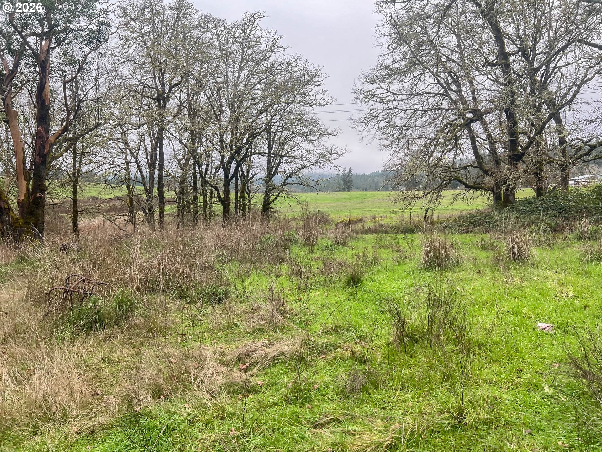 1698 Doerner Road Roseburg, OR 97471 - Photo 4 of 18 a view of lake with green space