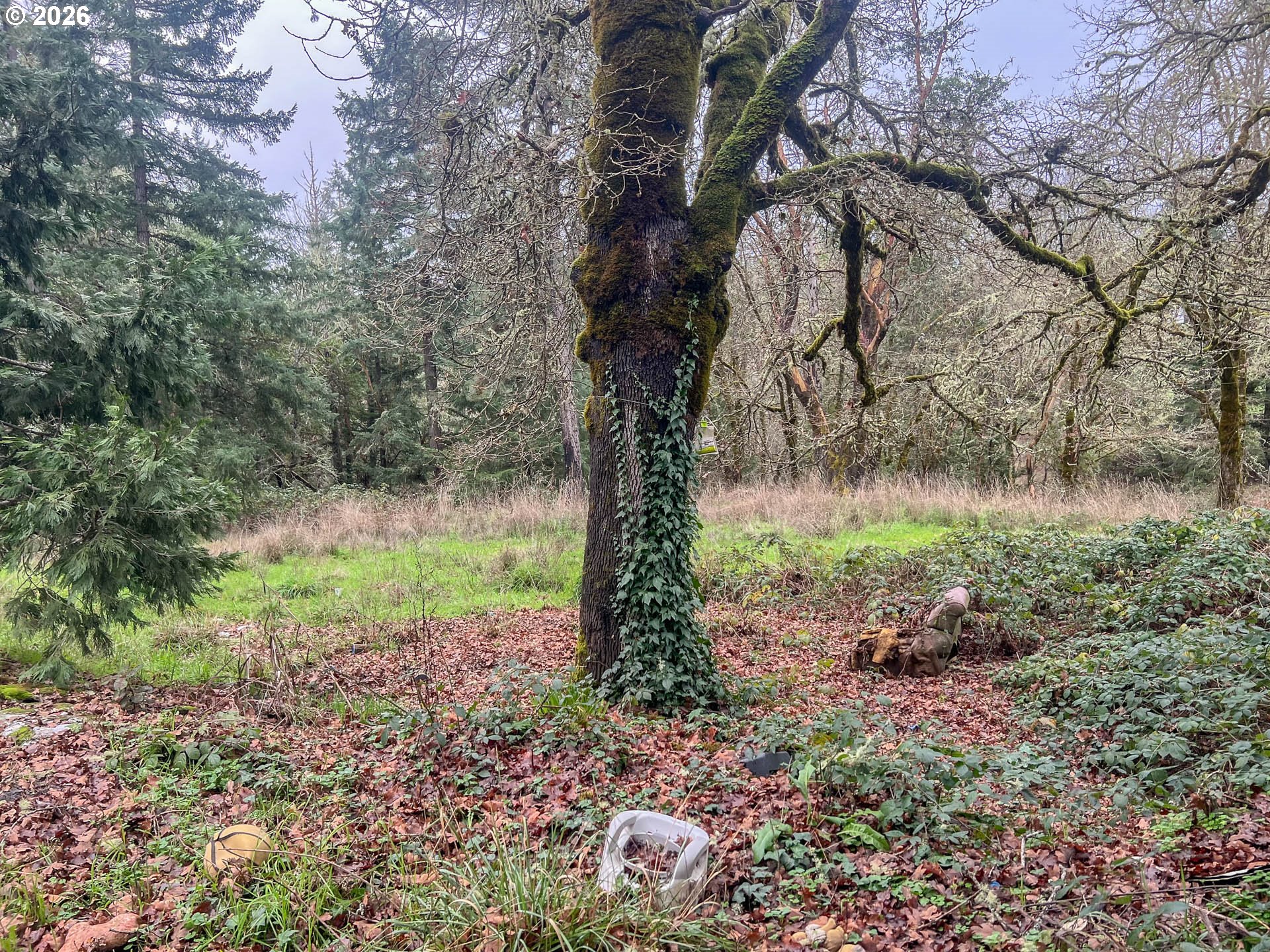 1698 Doerner Road Roseburg, OR 97471 - Photo 5 of 18