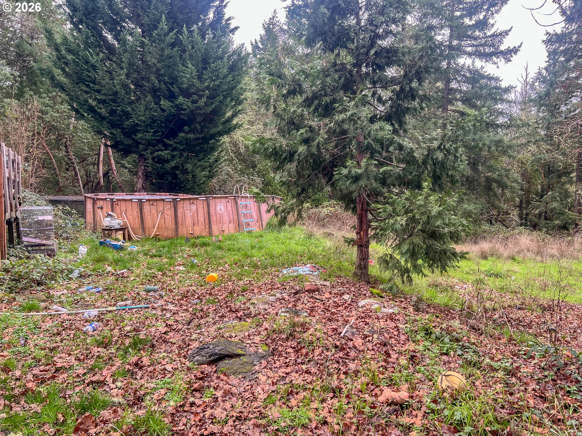 1698 Doerner Road Roseburg, OR 97471 - Photo 6 of 18 a view of a backyard with large tree