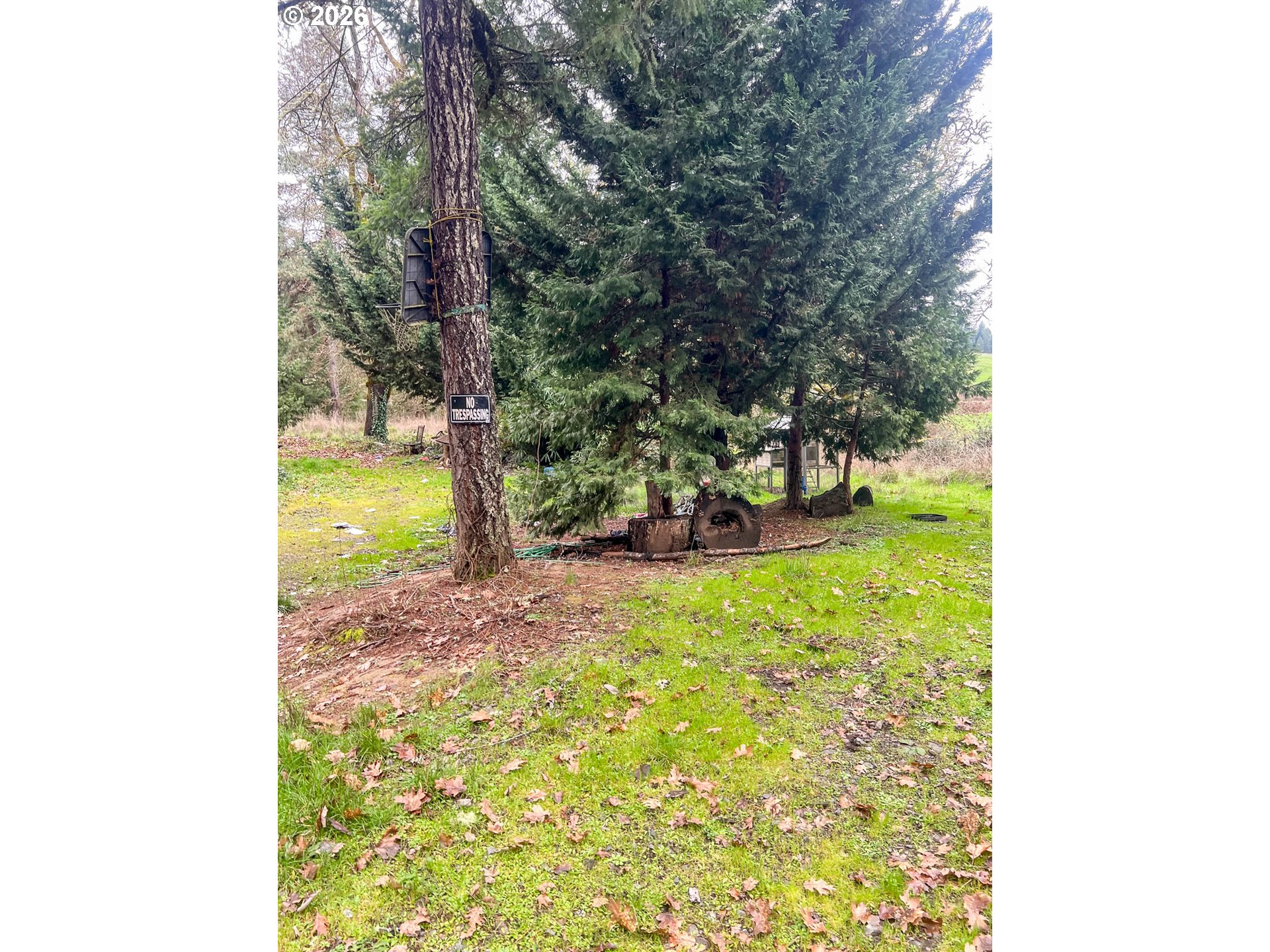 1698 Doerner Road Roseburg, OR 97471 - Photo 8 of 18 a view of a yard with plants