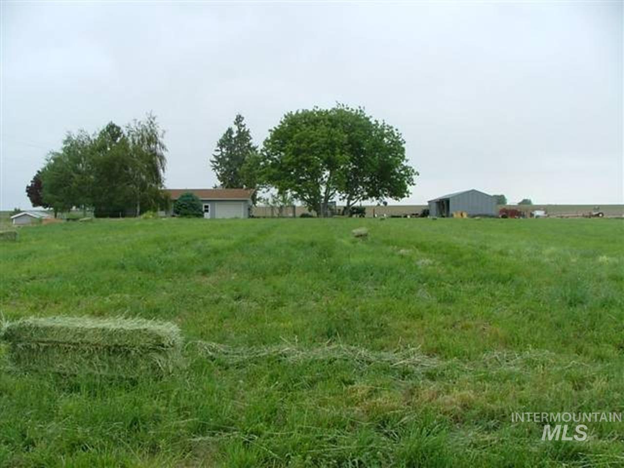 721 Mendiola Road Nyssa, OR 97913 - Photo 11 of 16 Expansive green field with a single-story dwelling, mature trees, and an outbuilding in the background