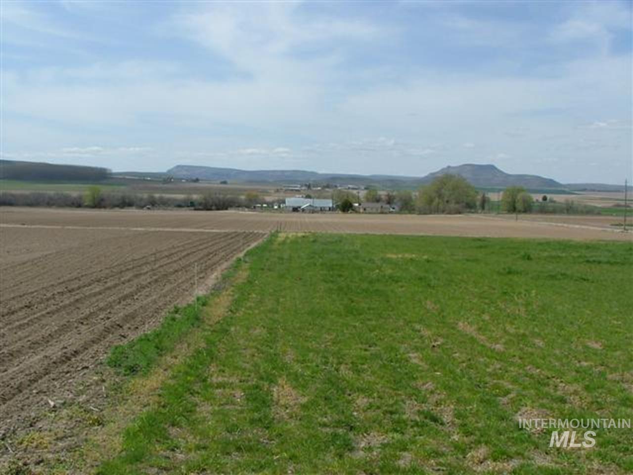 721 Mendiola Road Nyssa, OR 97913 - Photo 14 of 16 Expansive agricultural land featuring a verdant field and tilled soil