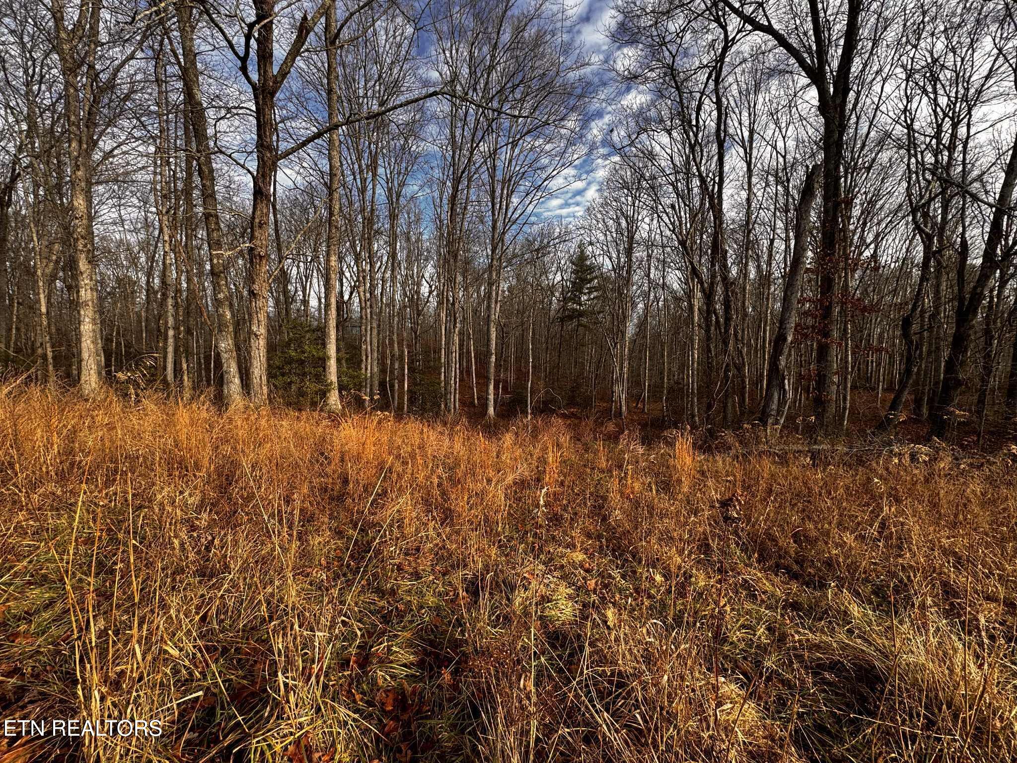 Smith Mountain Road Rockwood, TN 37854 - Photo 11 of 19 e27efdd2-0e39-43ee-9807-144db219e5c3