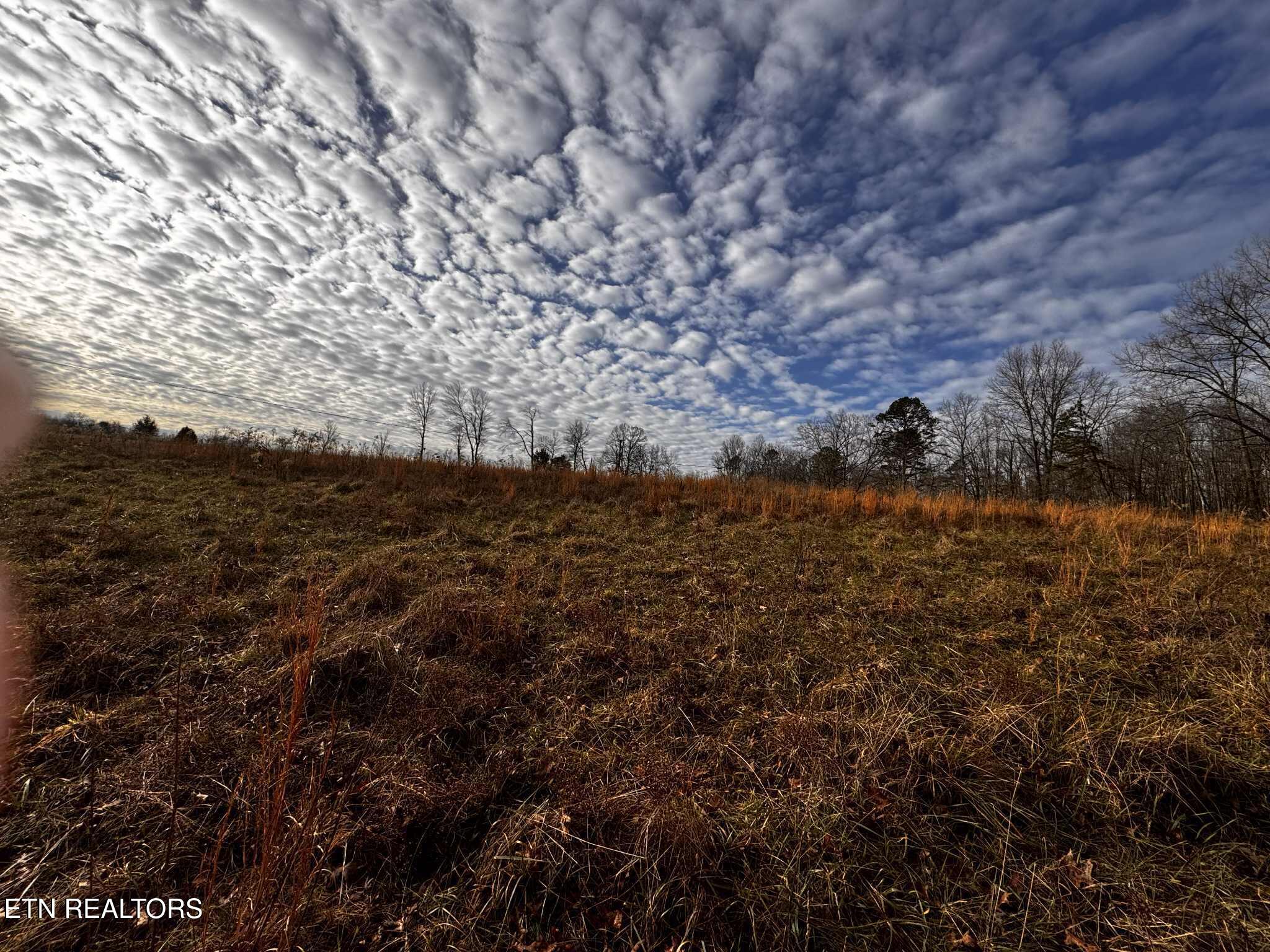 Smith Mountain Road Rockwood, TN 37854 - Photo 13 of 19 a591c6e7-267d-4482-b2be-8fefbab029cc