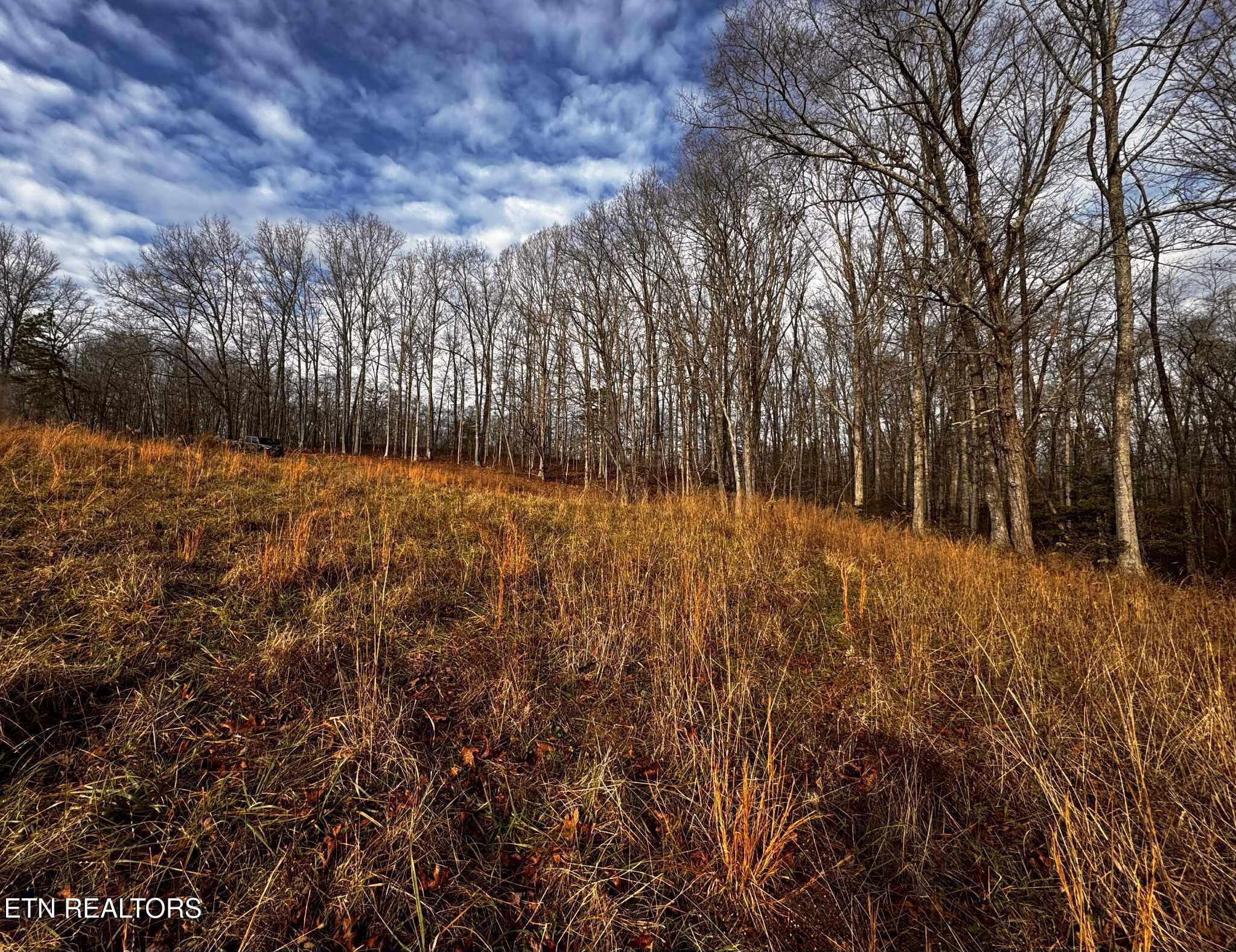 Smith Mountain Road Rockwood, TN 37854 - Photo 14 of 19 2fc59196-396a-4656-8d36-7969df33e3f1