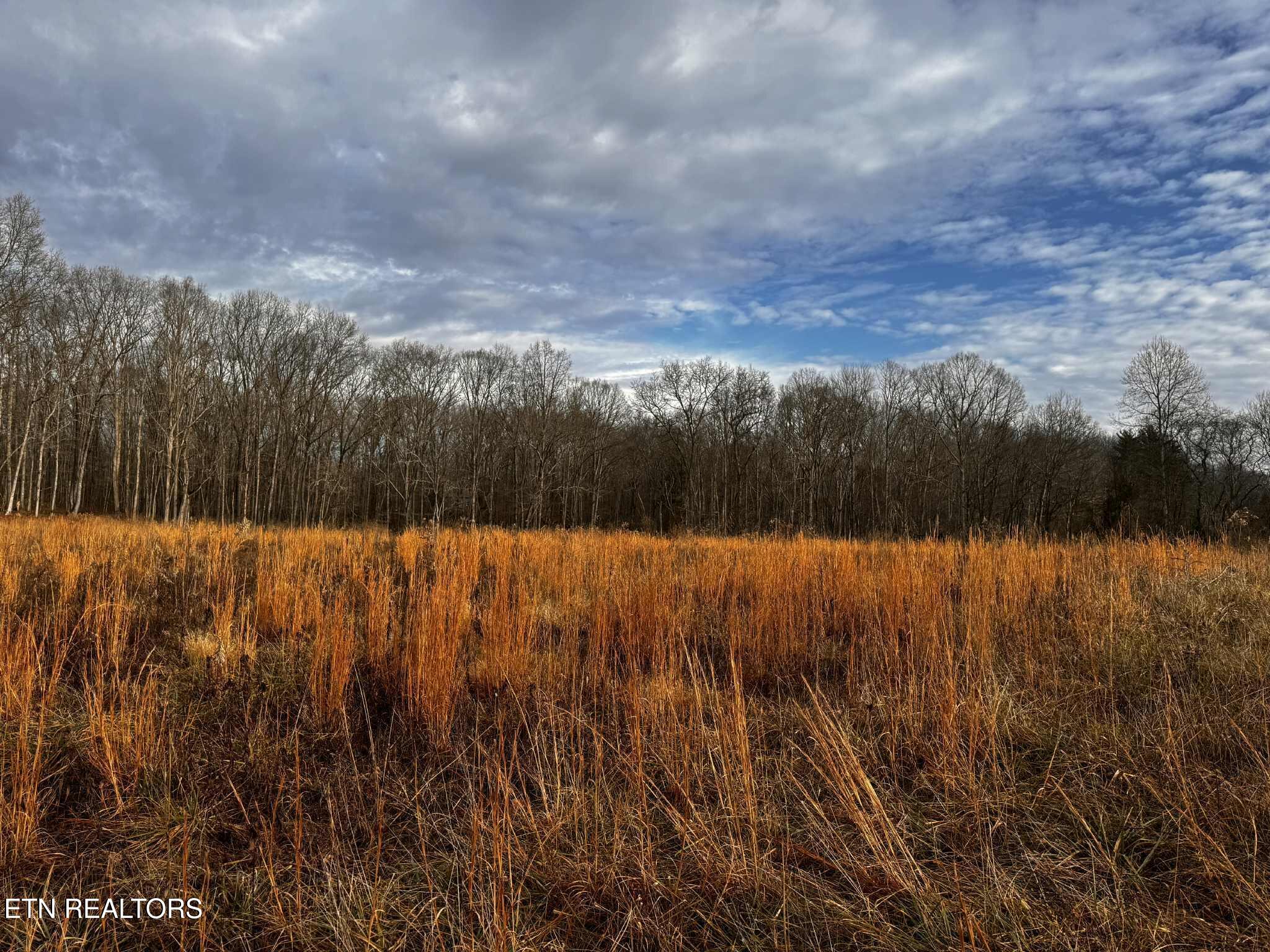 Smith Mountain Road Rockwood, TN 37854 - Photo 6 of 19 a5346071-99a0-4fc9-805f-bf58732b082c