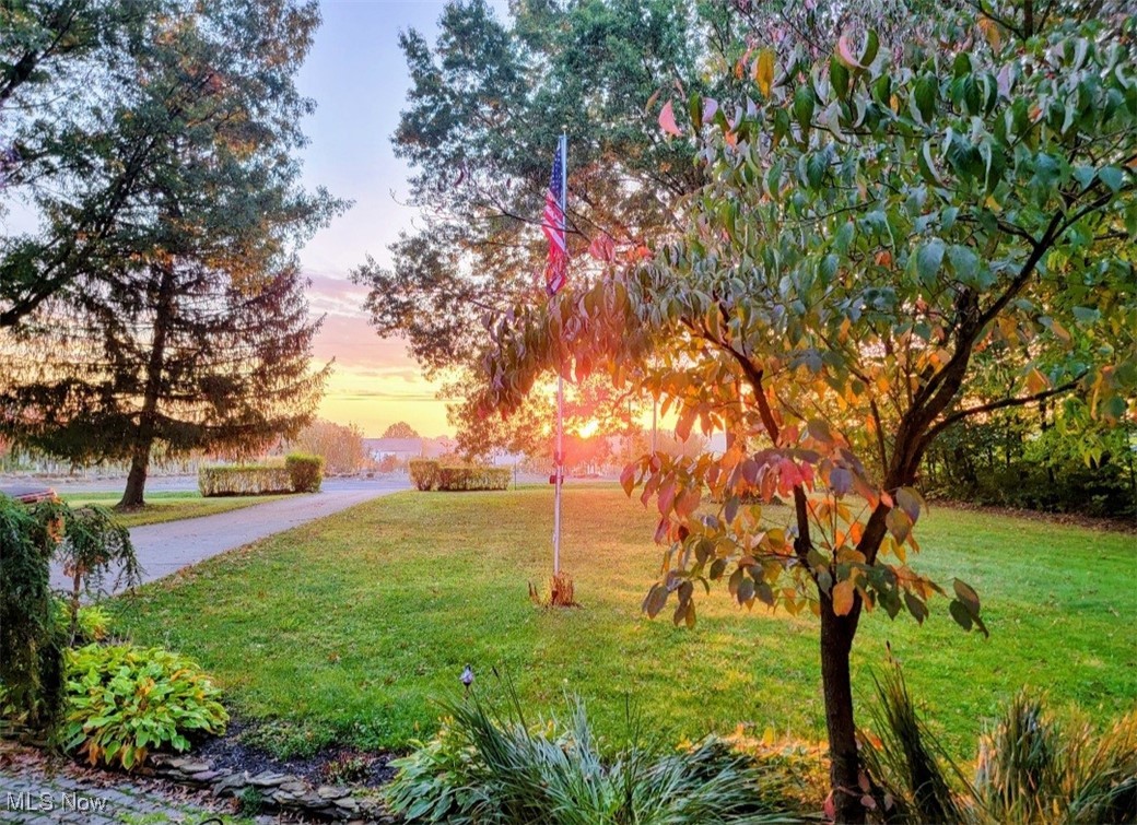 2470 Stiegler Road Valley City, OH 44280 - Photo 38 of 46 Beautiful sunrise views from the front porch