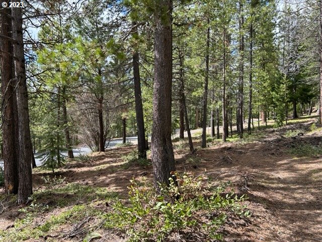 43 Clear Spring Way Crescent Lake, OR 97733 - Photo 3 of 6 a view of a forest with trees