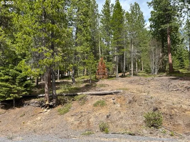 a view of outdoor space with trees