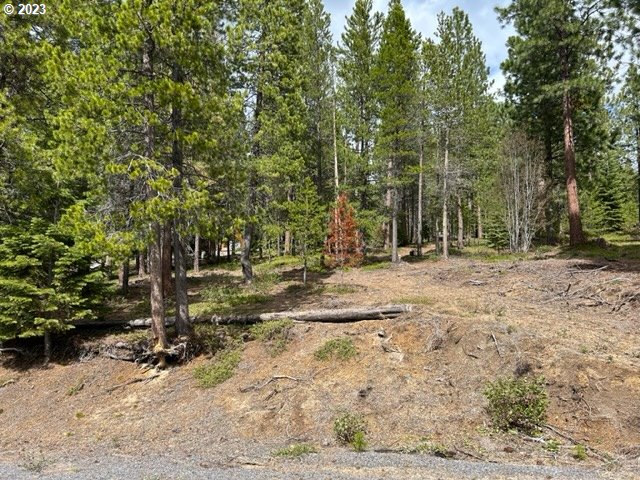 43 Clear Spring Way Crescent Lake, OR 97733 - Photo 4 of 6 a view of outdoor space with trees