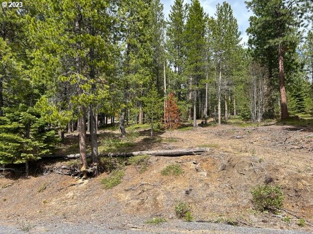 43 Clear Spring Way Crescent Lake, OR 97733 - Photo 5 of 6 a backyard of a house with lots of green space