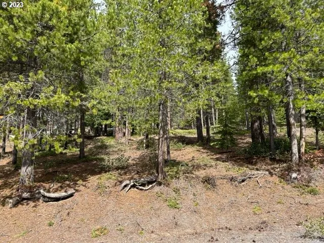 a view of a yard with plants and trees