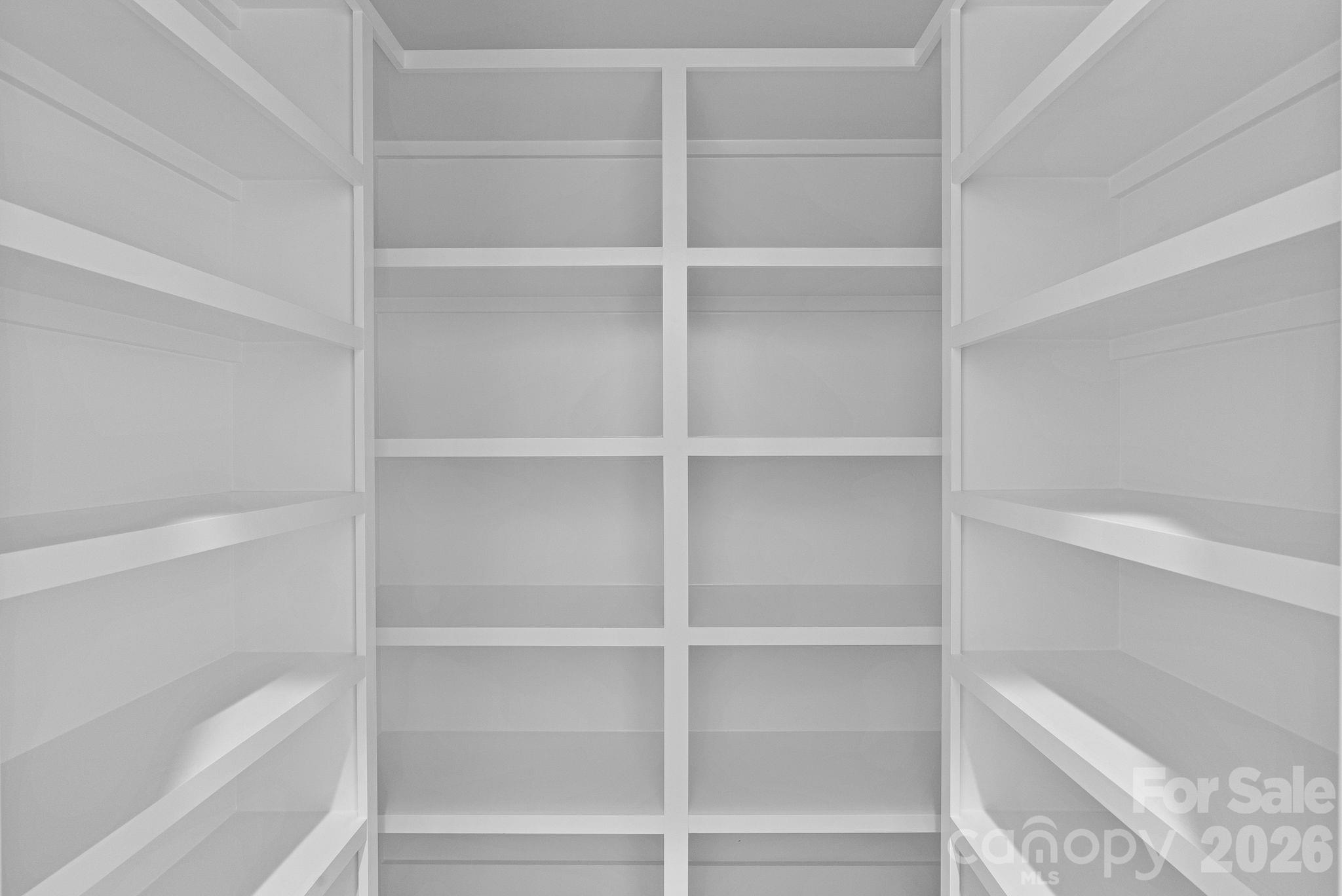 19 East Starnes Cove Road Asheville, NC 28806 - Photo 10 of 46 a view of walk in closet with empty racks