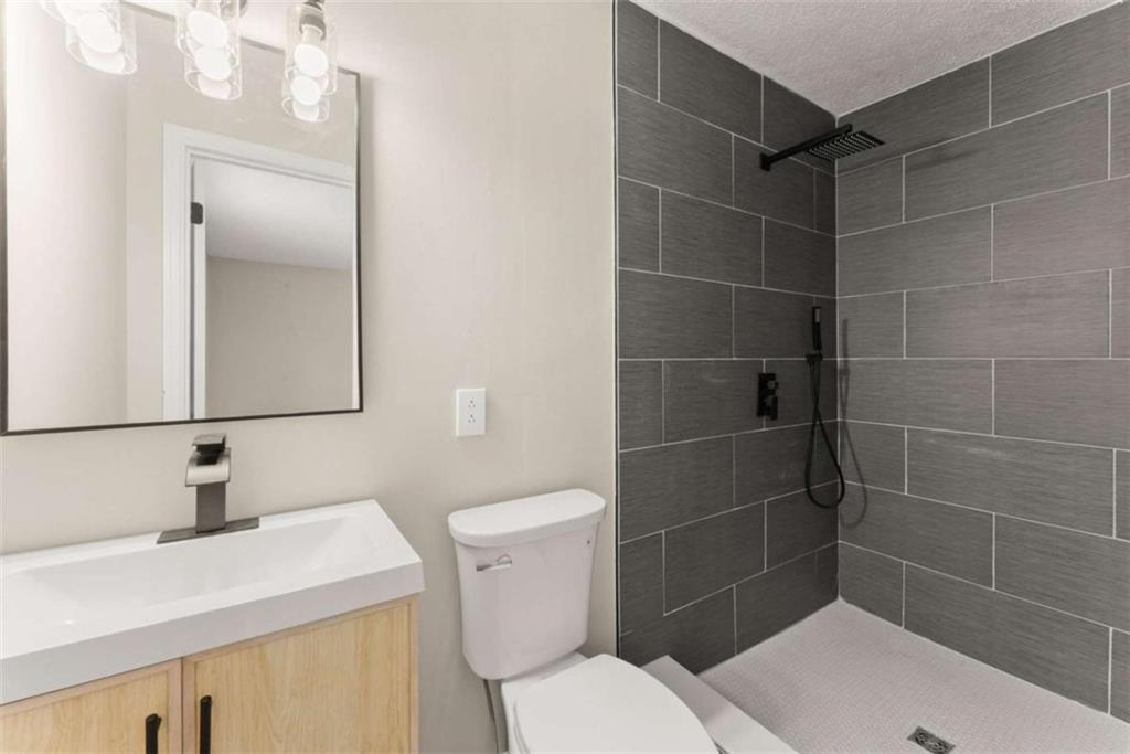 217 Quail Trail Cornelia, GA 30531 - Photo 30 of 48 a bathroom with a sink a toilet and shower