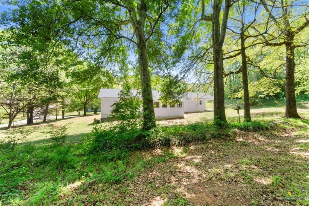 217 Quail Trail Cornelia, GA 30531 - Photo 37 of 48 a view of backyard with tree