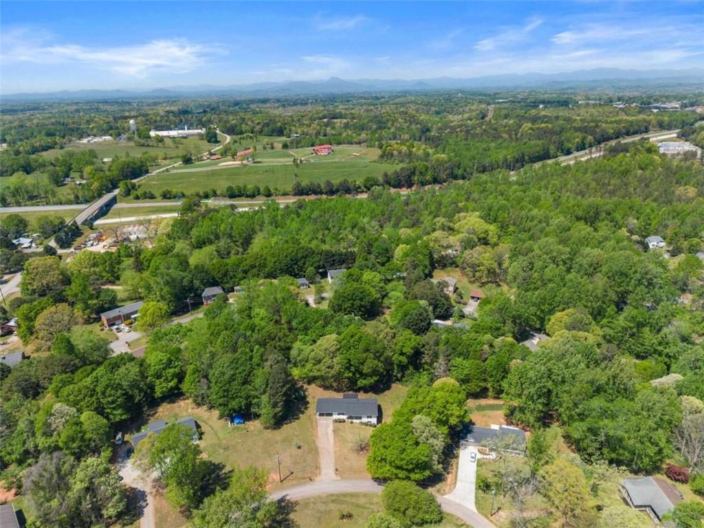 217 Quail Trail Cornelia, GA 30531 - Photo 6 of 48 an aerial view of residential houses with outdoor space and trees