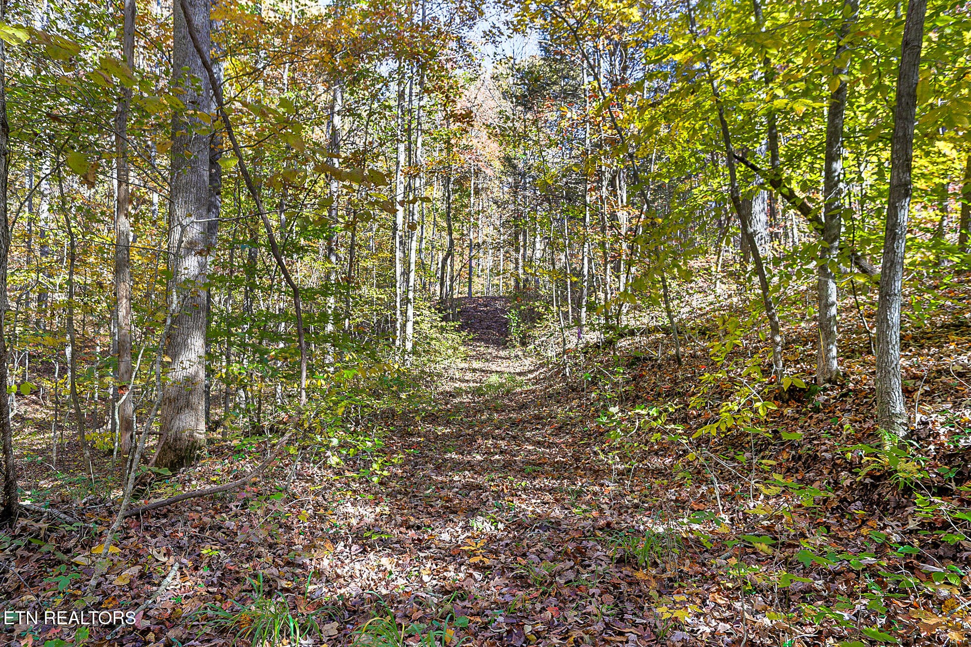 3201 Ballplay Road Madisonville, TN 37354 - Photo 53 of 60 Gallery Image 53