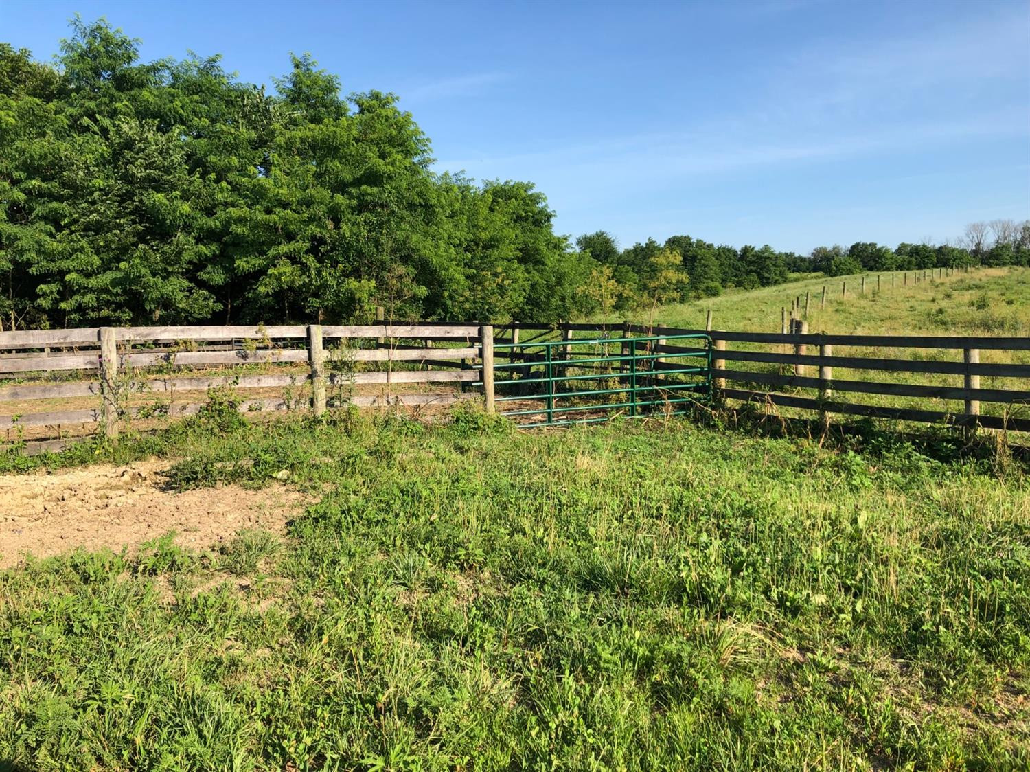 1894 Headquarters Road Carlisle, KY 40311 - Photo 8 of 27 Photo 8