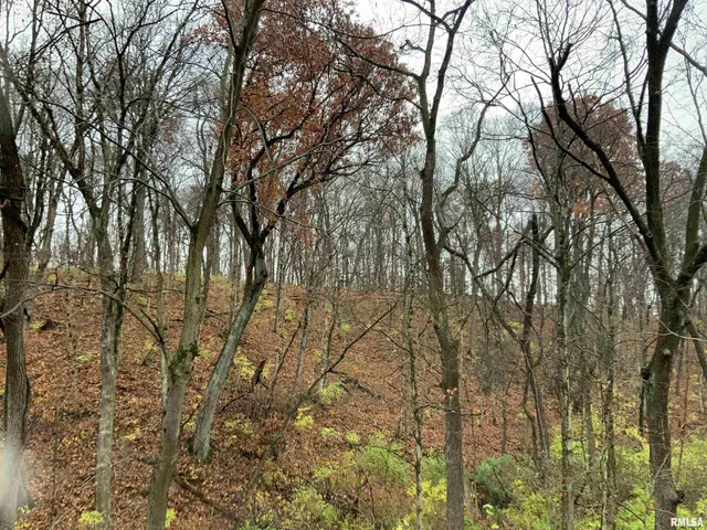 $243,000 | 0 Yankee Lane, Chillicothe, IL 61523