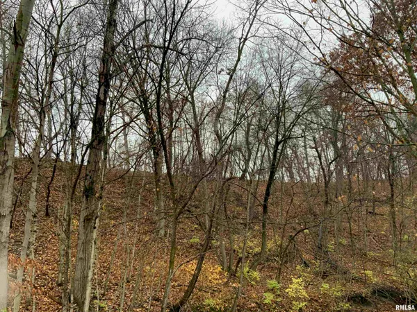 $243,000 | 0 Yankee Lane, Chillicothe, IL 61523