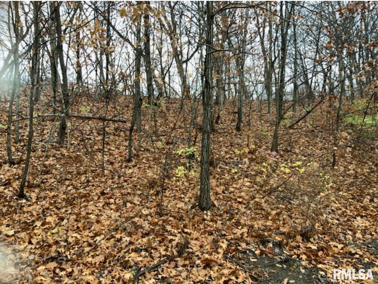 0 Yankee Lane Chillicothe, IL 61523 - Photo 4 of 4