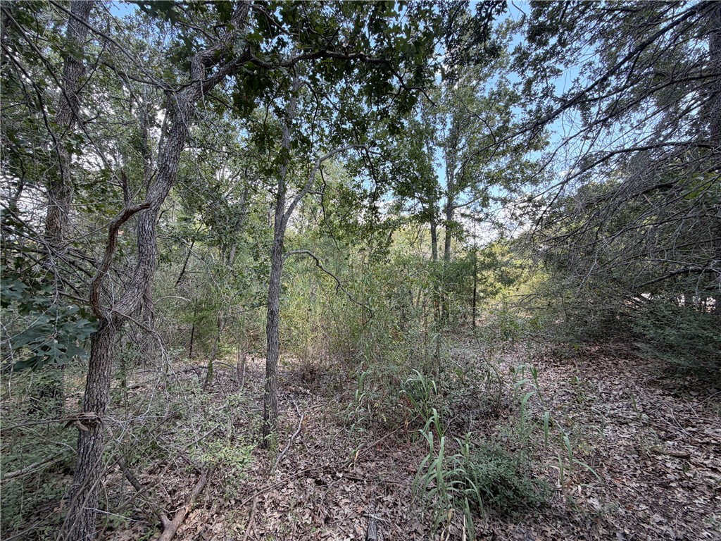N/a Minter Spring Road College Station, TX 77845 - Photo 10 of 11 Gallery Image 10