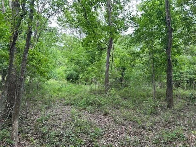 $200,000 | 0 Todd Drive, St. Bernard, LA 70085