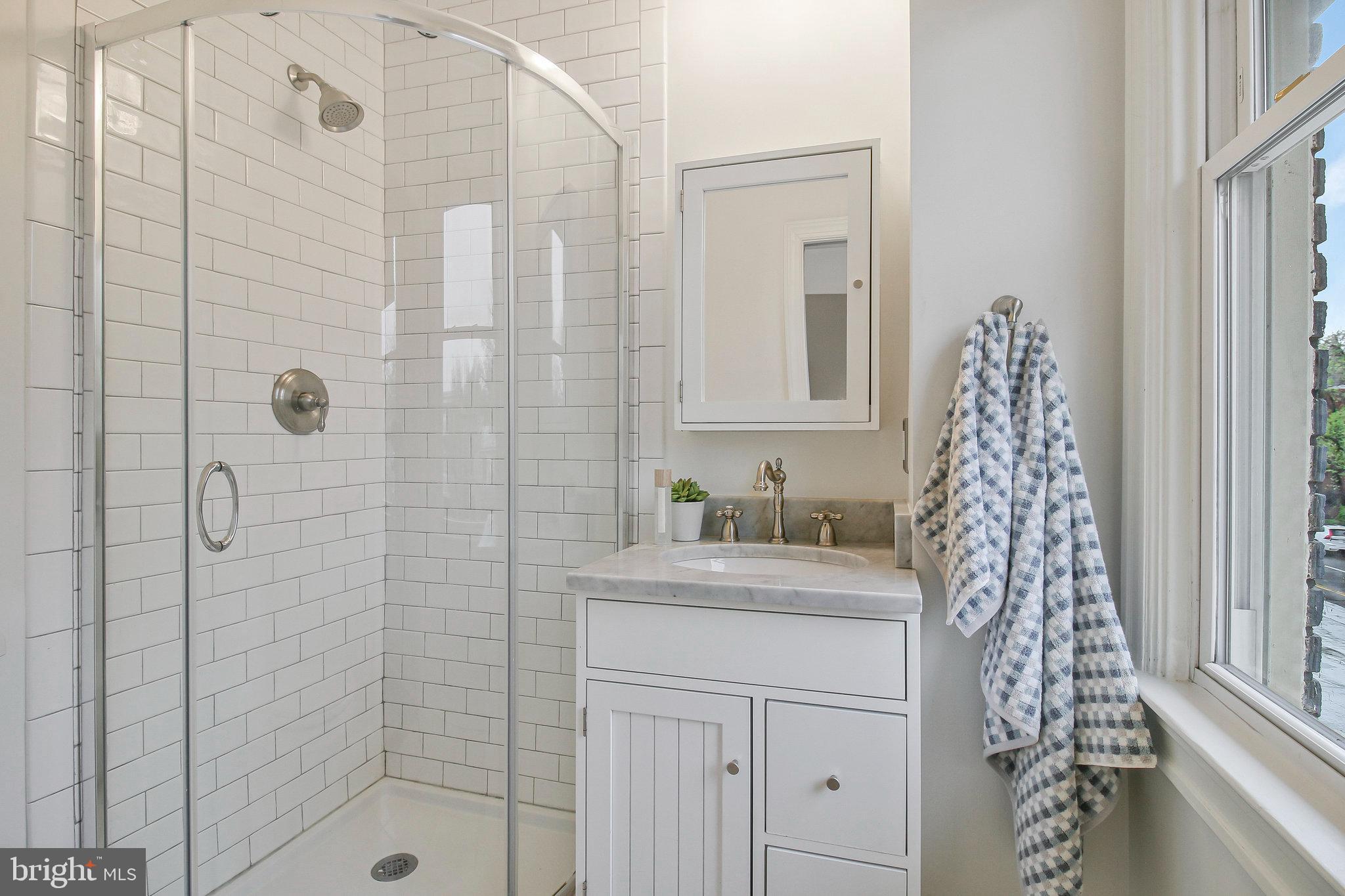 239 11th Street Southeast Washington, DC 20003 - Photo 42 of 53 a bathroom with a sink a vanity and a shower
