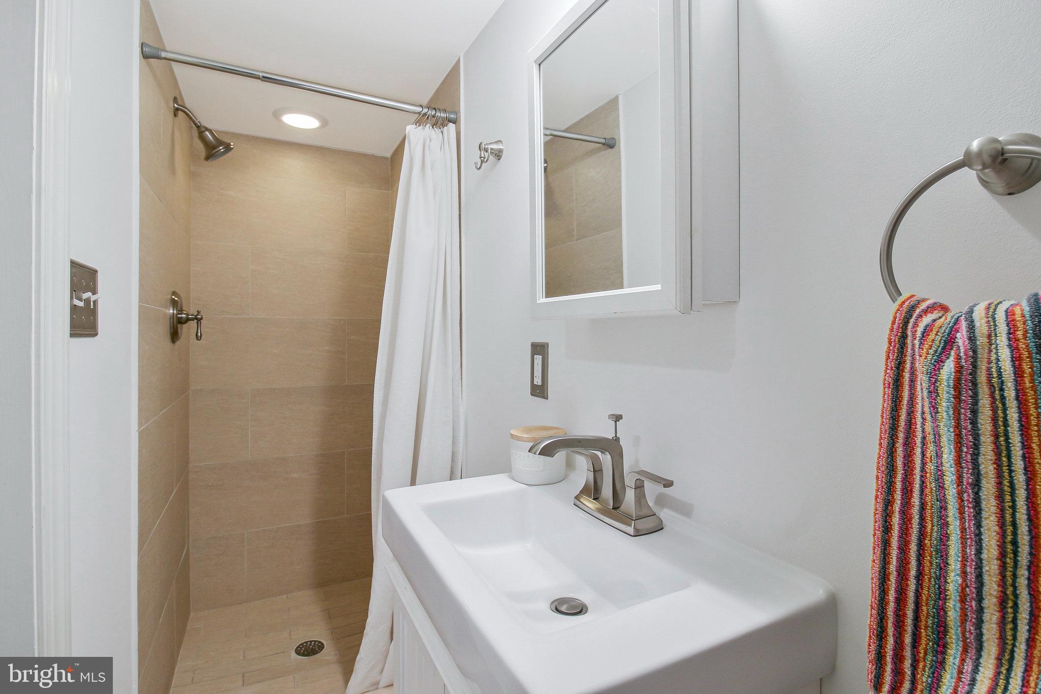 239 11th Street Southeast Washington, DC 20003 - Photo 51 of 53 a bathroom with a sink a mirror and a shower