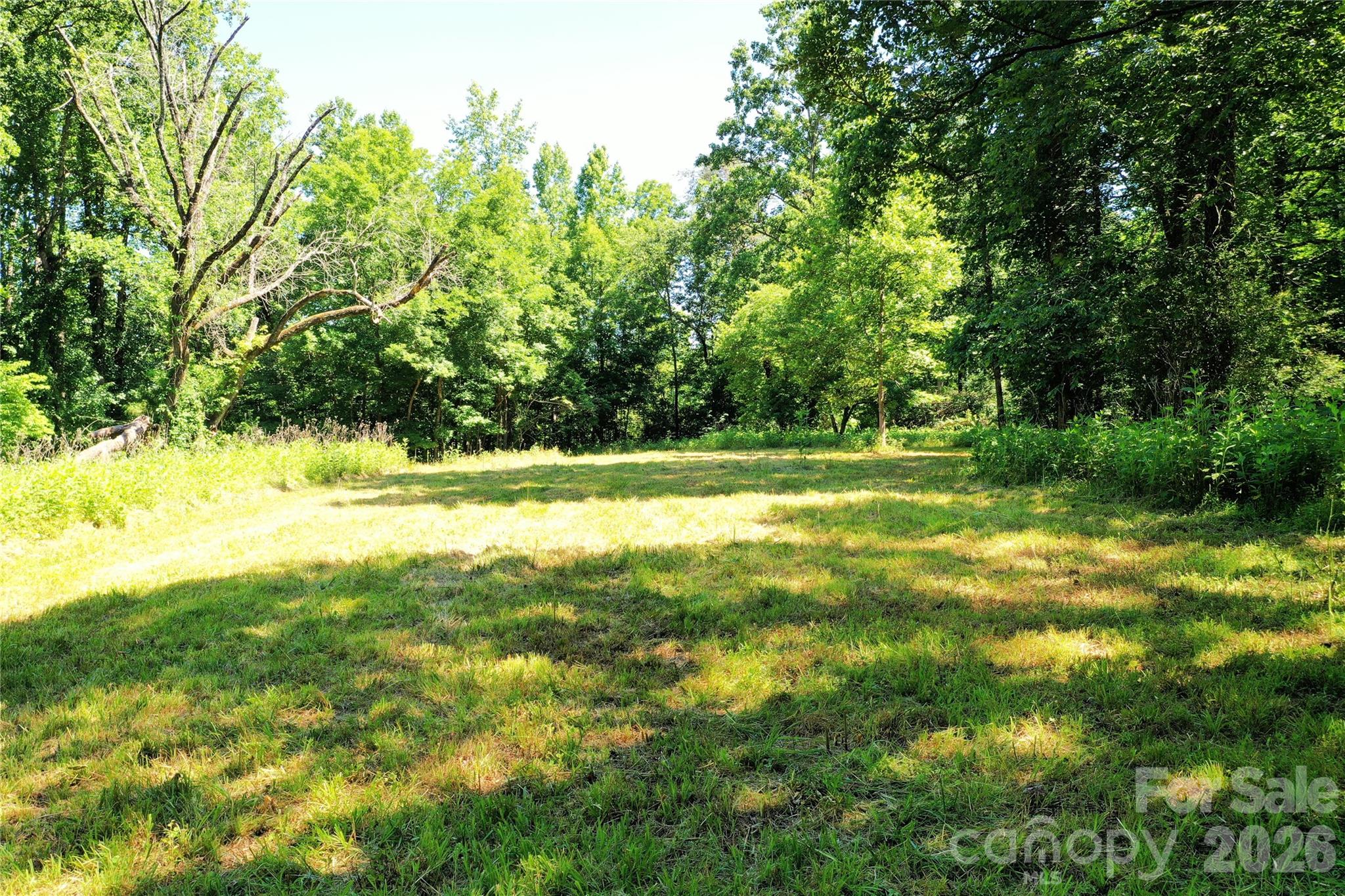 0 River Road Tryon, NC 28782 - Photo 12 of 30