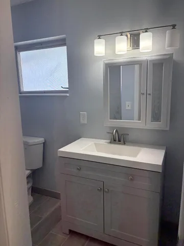 a bathroom with a sink and a toilet