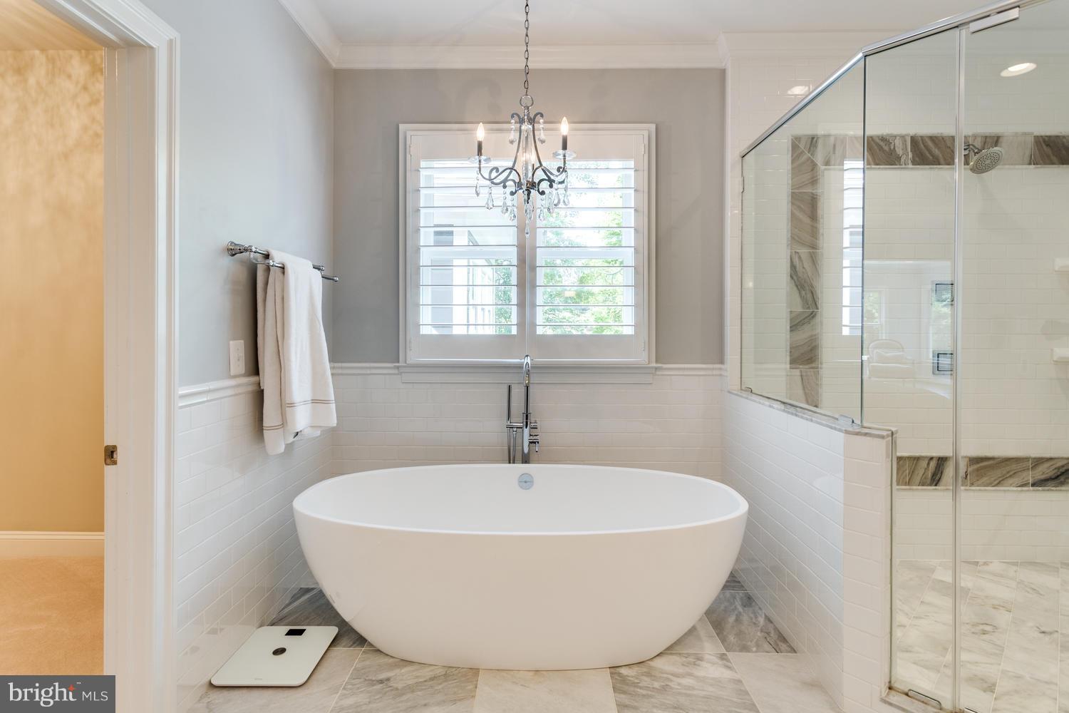 10201 Browns Mill Road Vienna, VA 22182 - Photo 17 of 30 Bath (Master)