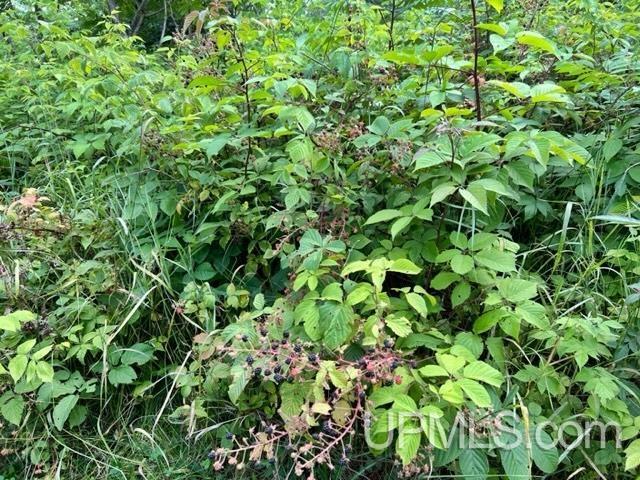 T-wi Birch Hill Road Amberg, WI 54102 - Photo 16 of 21