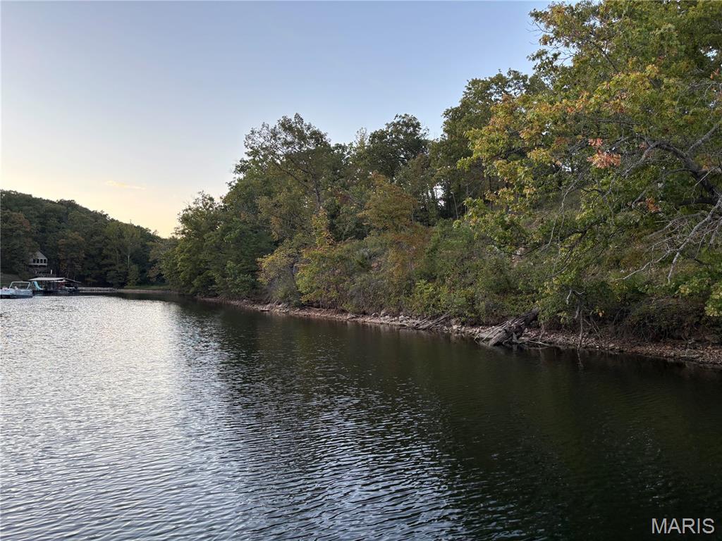 0 Elm Tree Road Rocky Mount, MO 65072 - Photo 4 of 6