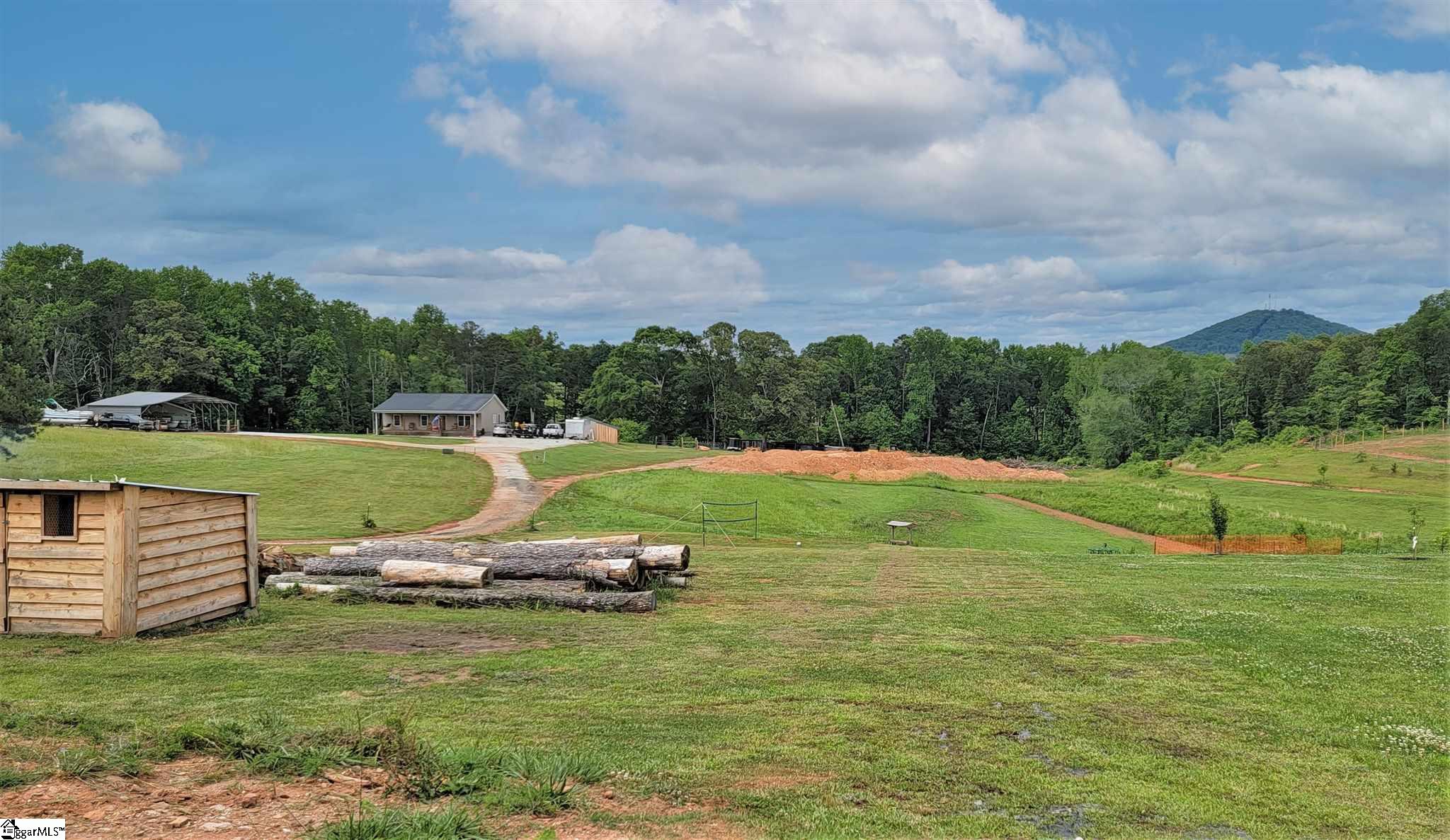 714 Mt Olivet Road Six Mile, SC 29682 - Photo 5 of 23